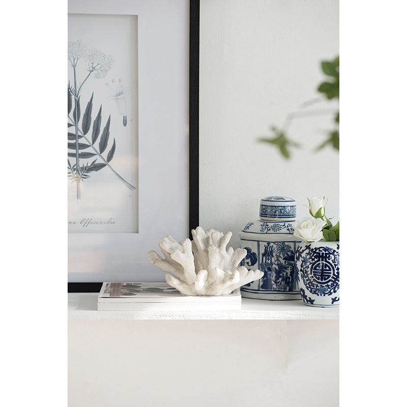 Inna Faux Elkhorn Coral