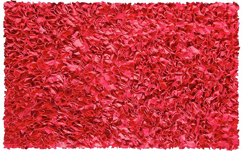 Shaggy Raggy Red Area Rug
