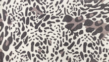 Kalahari Cheetah