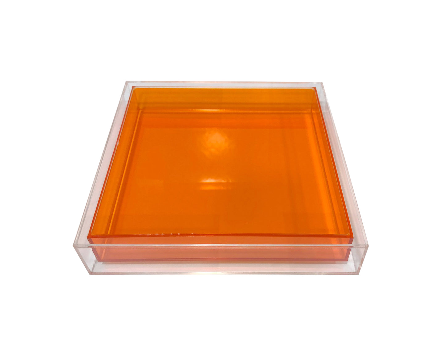 Encased Lucite Tray